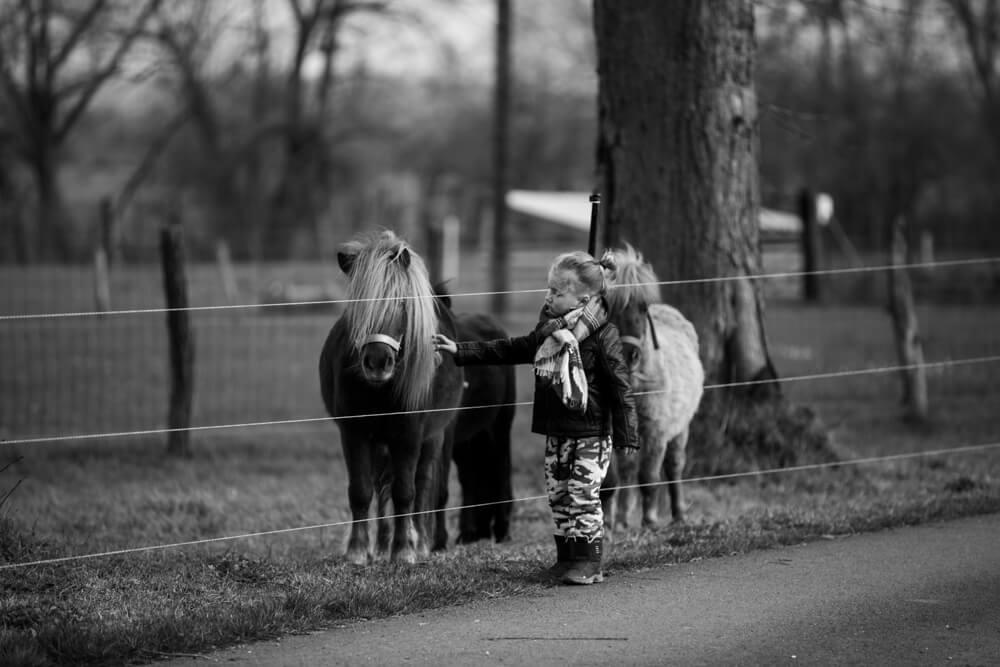 Photographe moselle j18 11