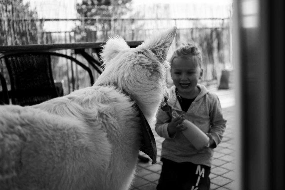 Photographe moselle j29 7
