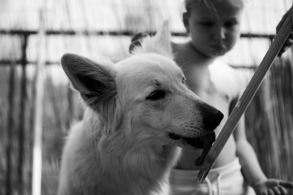 Photographe moselle j32 15