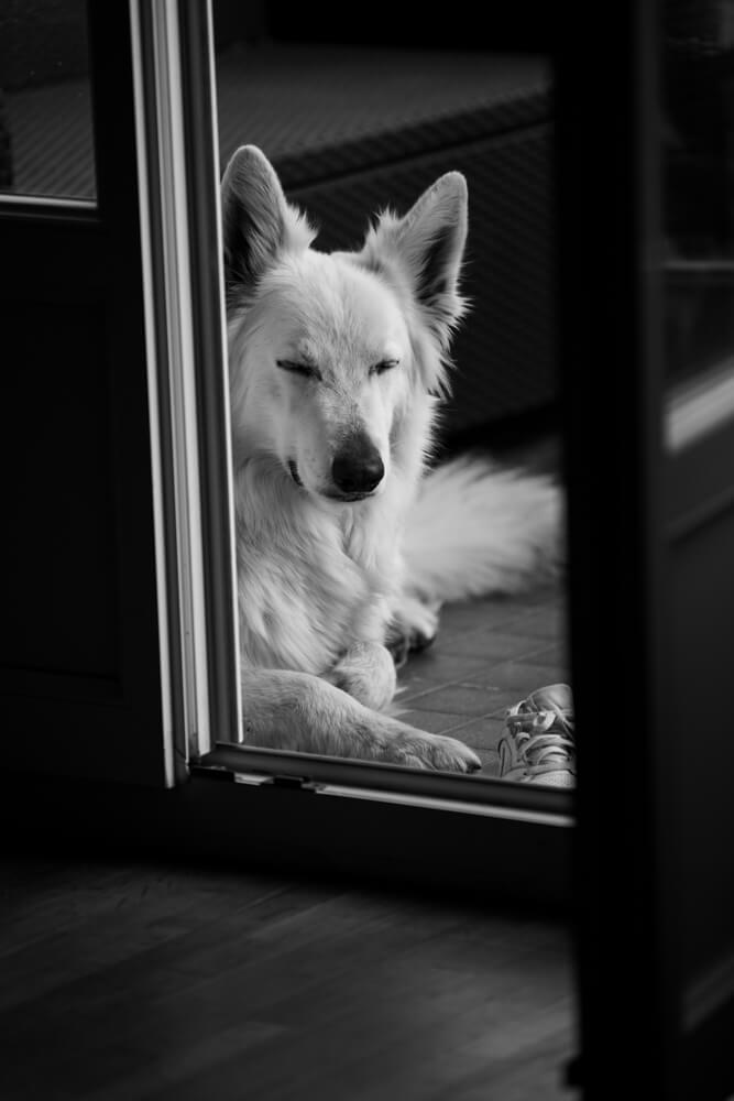 Photographe moselle j32 8