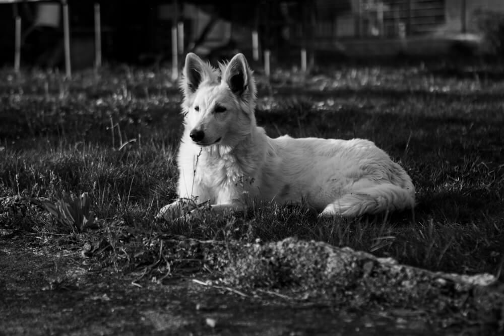 Photographe moselle j36 19